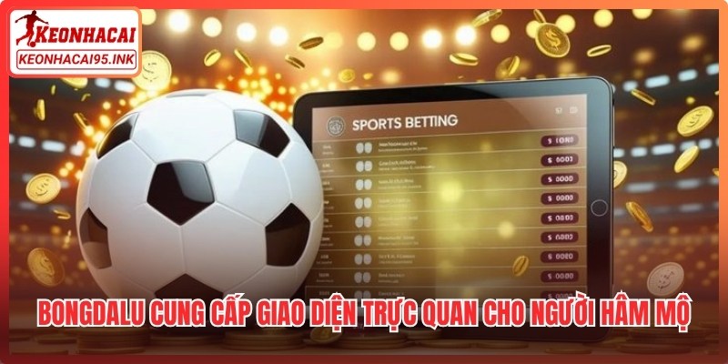 Bongdalu cung cấp giao diện trực quan cho người hâm mộ thể thao