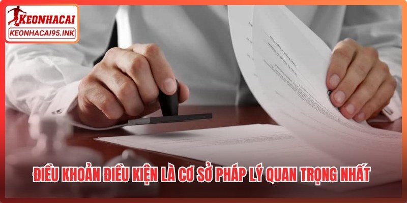 Điều khoản điều kiện là cơ sở pháp lý quan trọng nhất của hệ thống