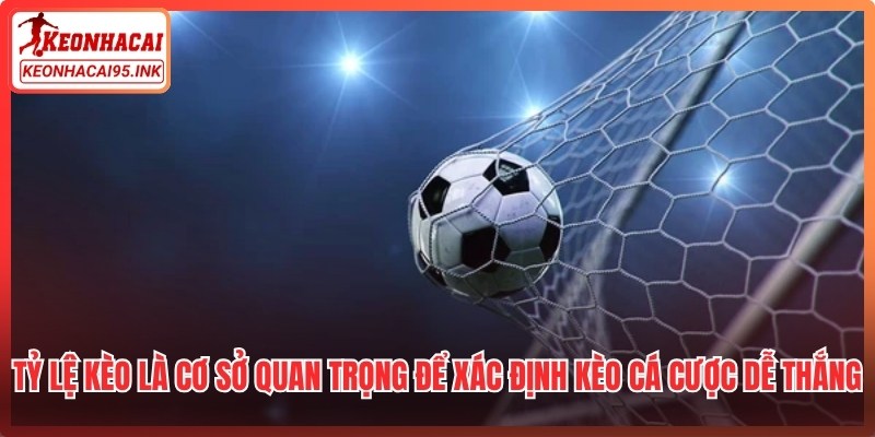 Tỷ lệ kèo là cơ sở quan trọng để xác định kèo cá cược dễ thắng