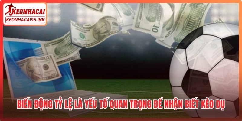 Biến động tỷ lệ là yếu tố quan trọng để nhận biết kèo dụ trong thực tế