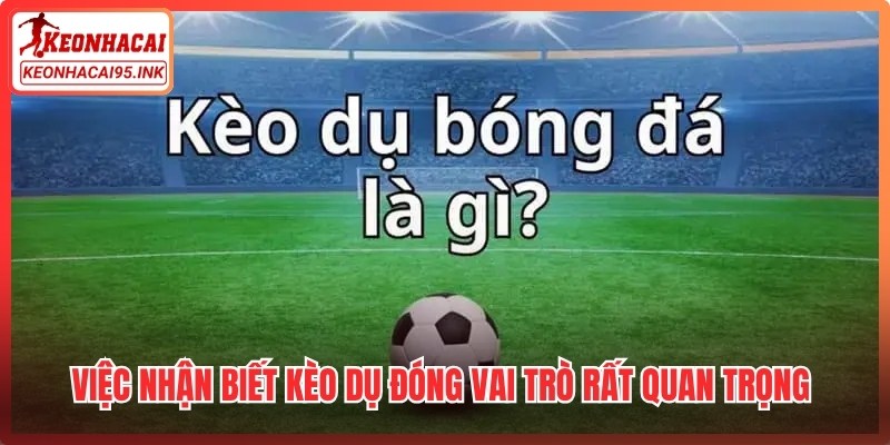 Việc nhận biết kèo dụ đóng vai trò rất quan trọng trong quá trình cá cược