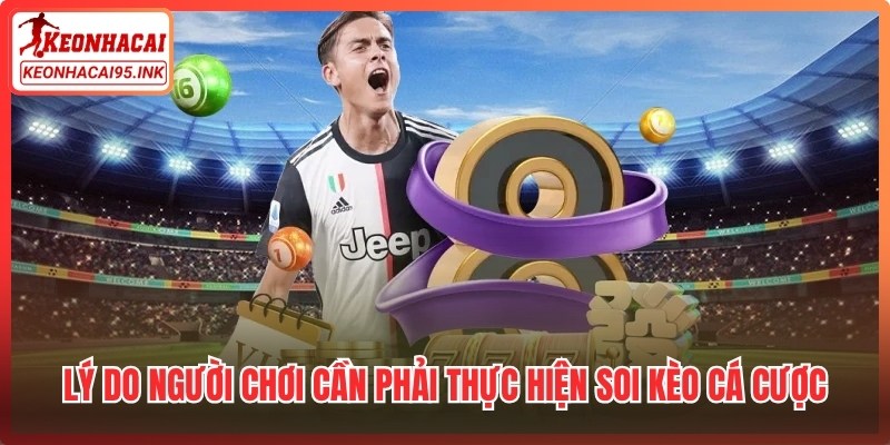 Lý do người chơi cần phải thực hiện soi kèo cá cược