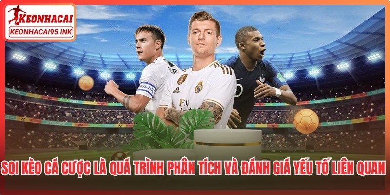 Soi kèo cá cược là quá trình phân tích và đánh giá yếu tố liên quan đến trận đấu
