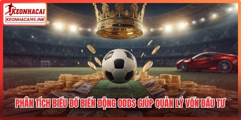 Phân tích biểu đồ biến động Odds giúp quản lý vốn đầu tư hiệu quả hơn