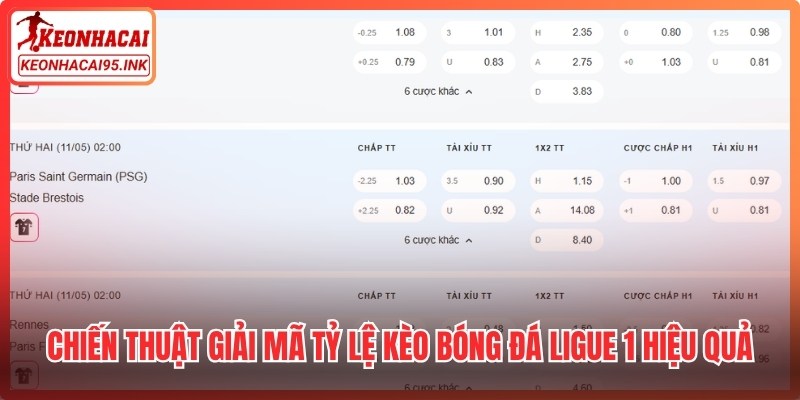 Chiến thuật giải mã tỷ lệ kèo bóng đá Ligue 1 hiệu quả
