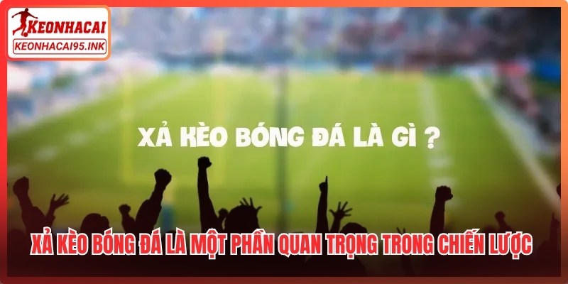Xả kèo bóng đá là một phần quan trọng trong chiến lược quản lý rủi ro